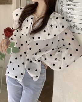 Sheer polka dot blouse