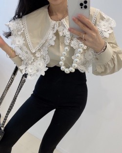 Embroidery collar blouse
